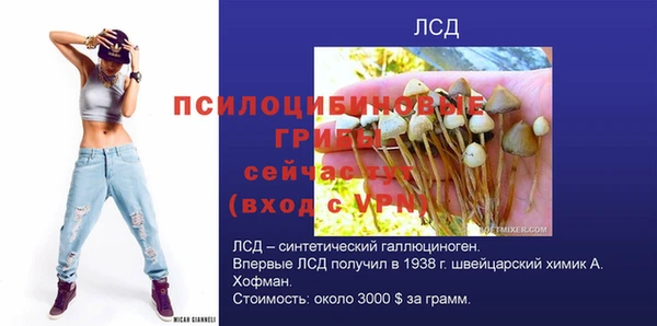трава Краснослободск