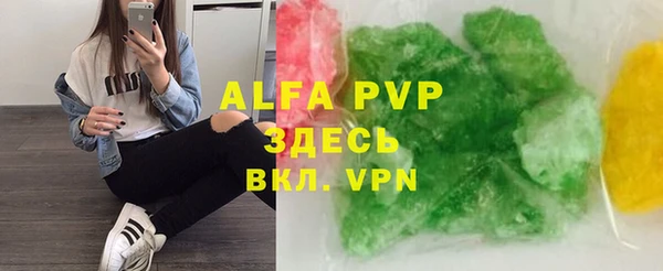 индика Корсаков