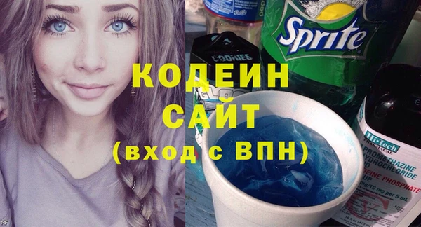 индика Корсаков