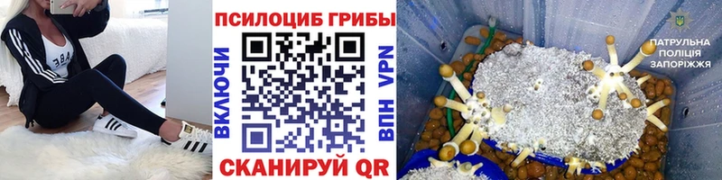 Галлюциногенные грибы мицелий  Нижний Тагил 