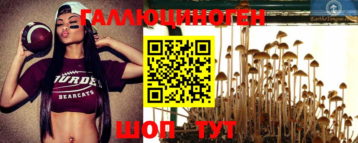 Галлюциногенные грибы Cubensis  Псилоцибиновые грибы MAGIC MUSHROOMS  Нижний Тагил  Вход с VPN 