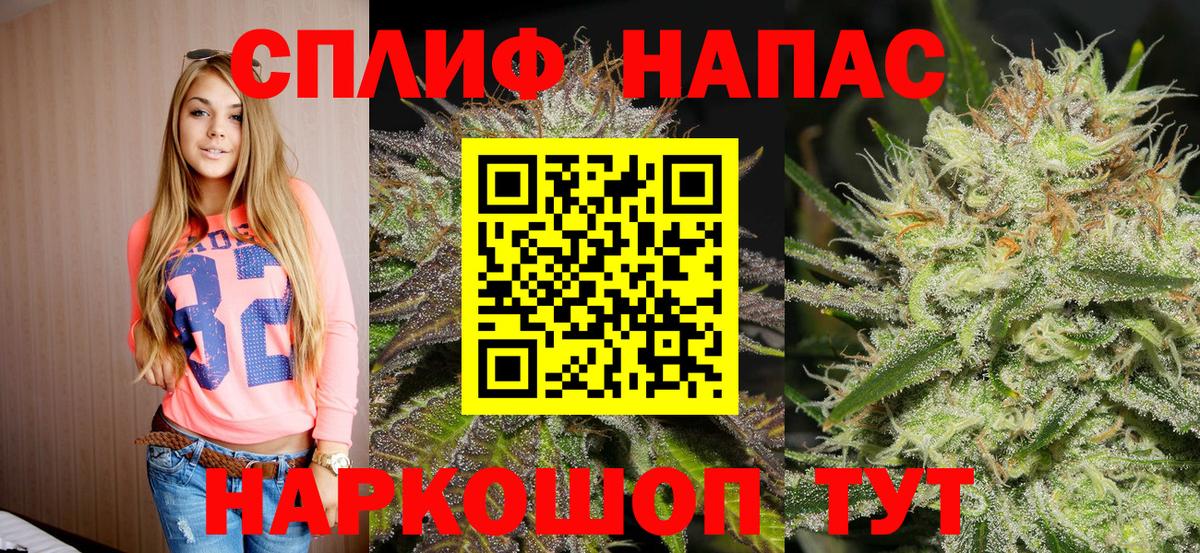 Канабис план  Вход с VPN  Нижний Тагил  МАРИХУАНА сатива  Марихуана сатива 
